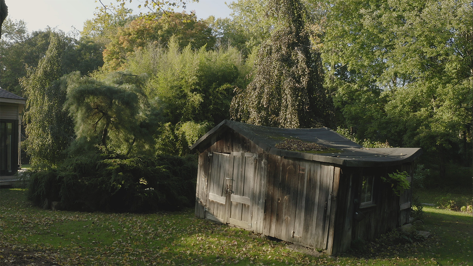 Premiere Pro screen shot.jpg